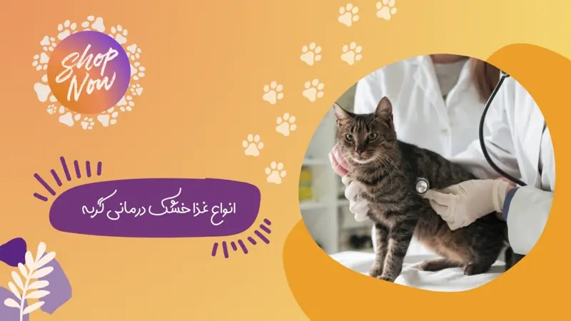 انواع غذای خشک و درمانی گربه