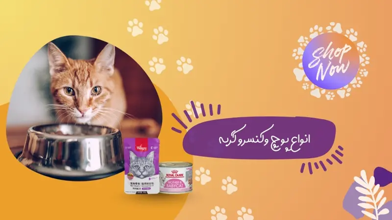 انواع پوچ و کنسرو گربه
