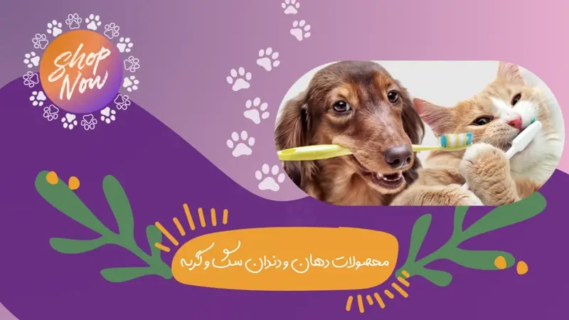 محصولات دهان و دندان سگ و گربه