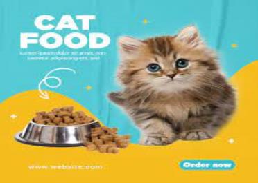 چگونه از بچه گربه خود بهترین مراقبت را داشته باشیم؟