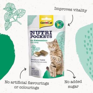 تشویقی جیم کت گربه با طعم کت نیپ 60 گرم