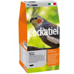 پلت عروس هلندی تاپ فید