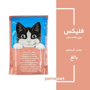 پوچ گربه فلیکس با طعم ماهی سالمون در ژله(آلمانی)