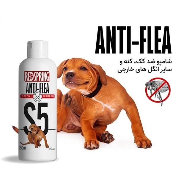 شامپو سگ S5 ضد انگل رد اسپرینگ 250 میل