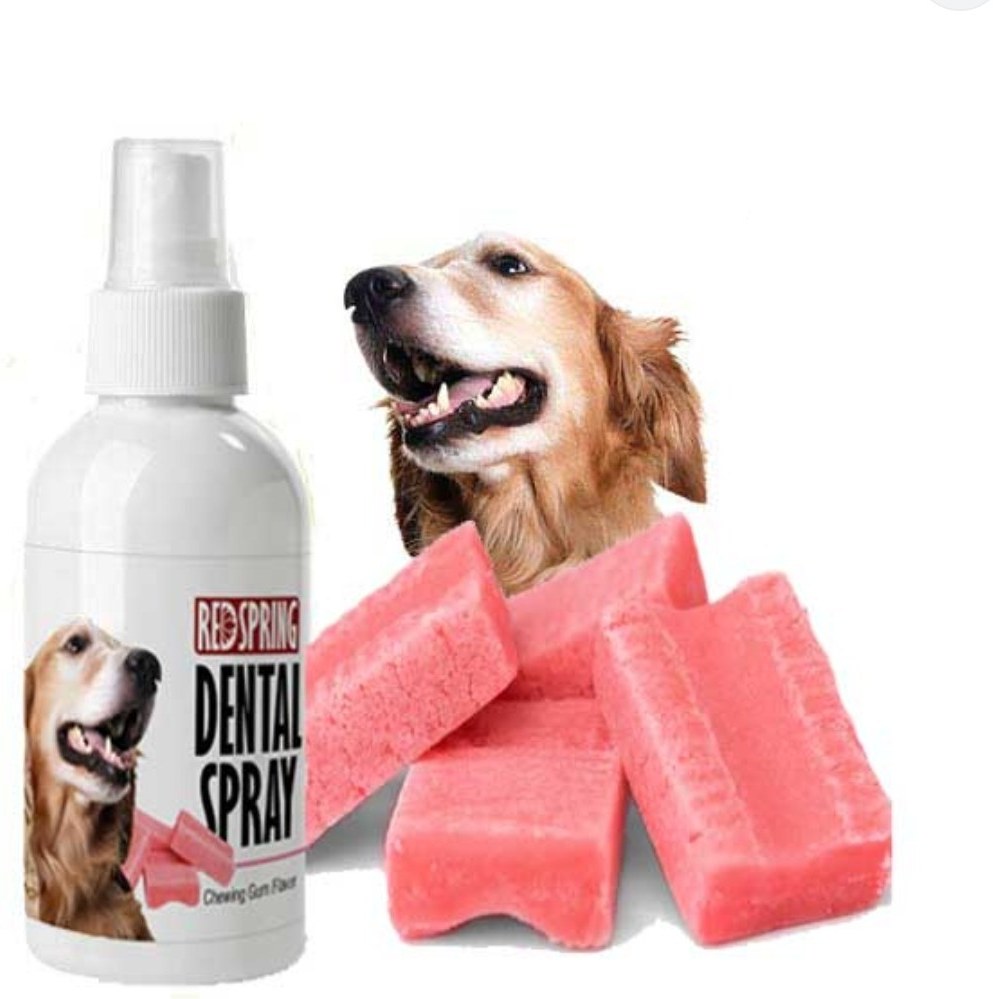  اسپری دنتال سگ و گربه با عصاره آدامس رداسپرینگ