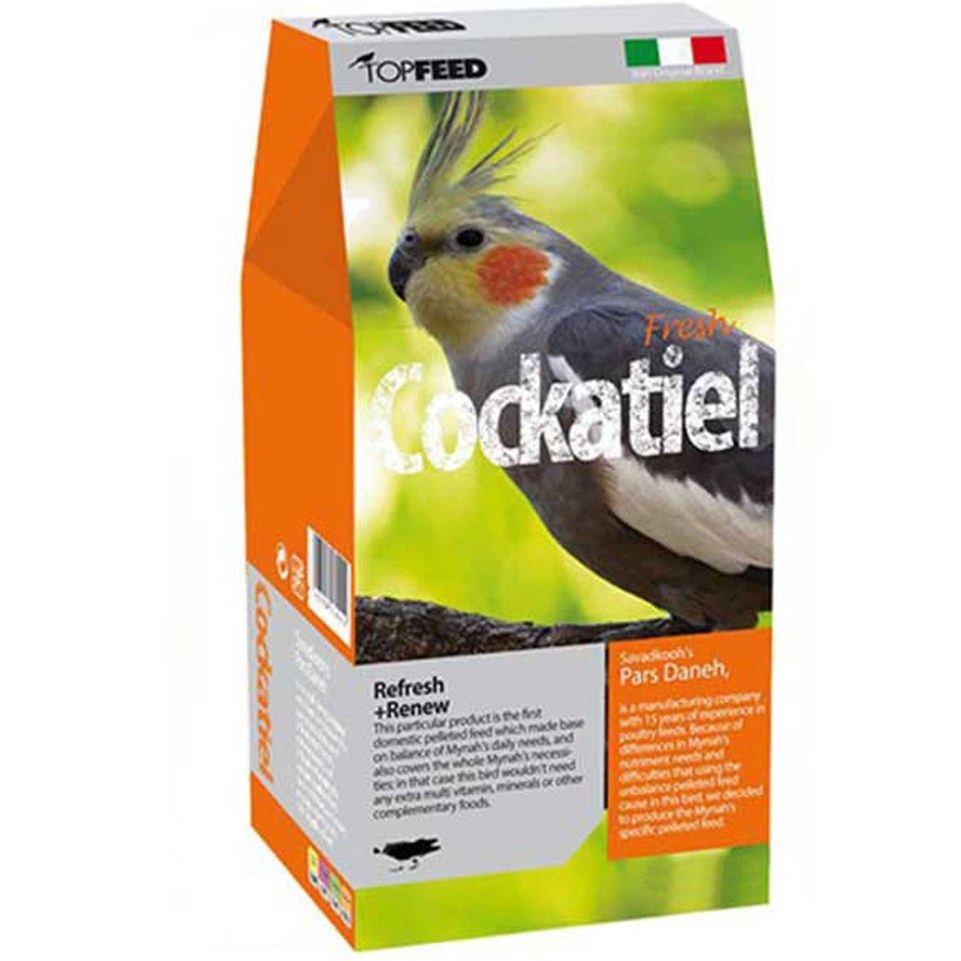 پلت عروس هلندی تاپ فید