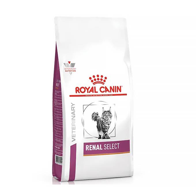 غذای خشک گربه درمانی کلیه رنال سلکت رویال کنین Renal Select Royal canin 2kg