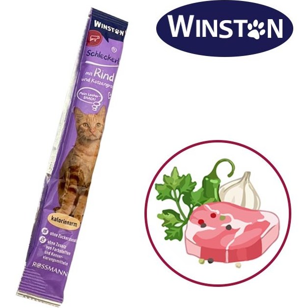 بستنی گربه وینستون طعم گوشت Winston