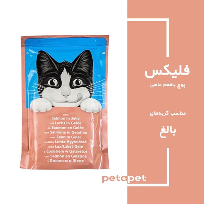پوچ گربه فلیکس با طعم ماهی سالمون در ژله(آلمانی)