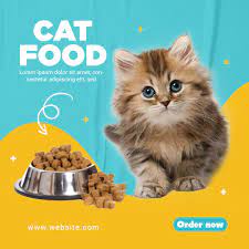 چگونه از بچه گربه خود بهترین مراقبت را داشته باشیم؟